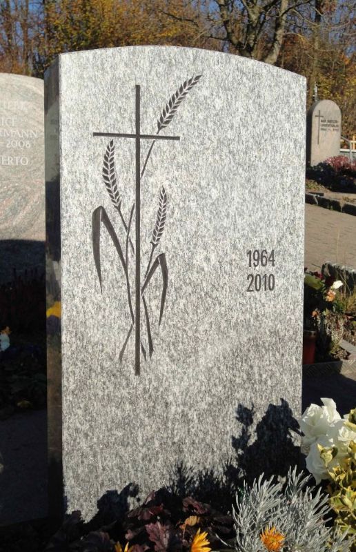 IRAGNA-Gneis-poliert