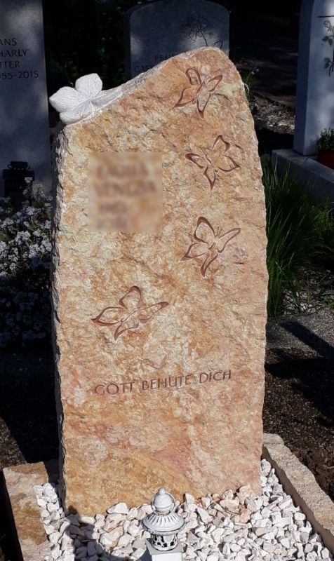 LIESBERGER-bruchroh-Schmetterlinge